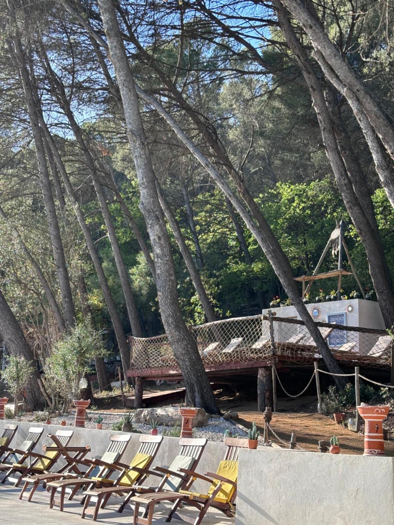 Le Castel De Fies Otel Solliès-Pont Dış mekan fotoğraf